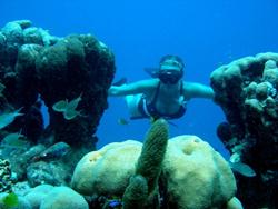 Bonaire Dive Holiday